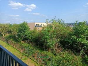 Pronájem bytu 1+kk, Beroun, Na Morákově, 29 m2