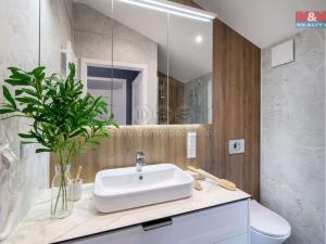 Prodej domu na klíč, Chrudim - Chrudim I, Školní náměstí, 57 m2