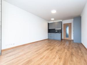 Pronájem bytu 1+kk, Praha - Háje, Výstavní, 34 m2