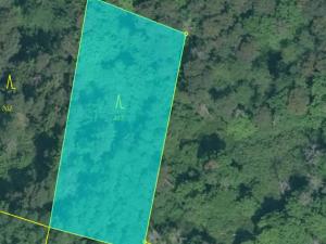 Prodej podílu lesa, Dříteň, 3282 m2