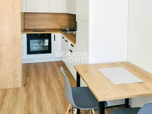 Pronájem bytu 2+kk, Praha - Smíchov, Plzeňská, 45 m2
