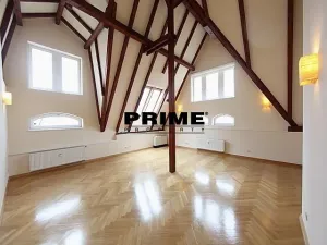 Pronájem bytu 5+1, Praha - Malá Strana, Újezd, 265 m2