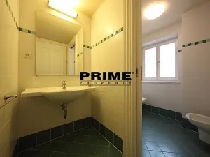 Pronájem bytu 5+1, Praha - Malá Strana, Újezd, 265 m2