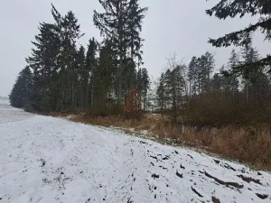 Prodej lesa, Nezbavětice, 10255 m2