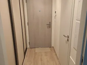 Pronájem bytu 1+kk, Praha - Žižkov, Tetauerova, 27 m2