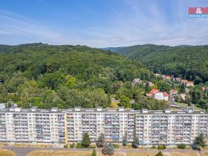 Prodej bytu 4+1, Litvínov - Janov, Hamerská, 73 m2