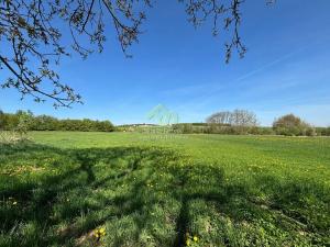 Prodej pozemku pro bydlení, Břasy, 6448 m2