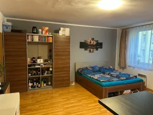 Pronájem bytu 1+kk, Brno, Francouzská, 39 m2