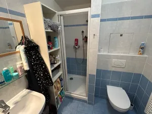 Pronájem bytu 1+kk, Brno, Francouzská, 39 m2