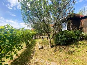 Prodej zahrady, Mokrá-Horákov, 638 m2