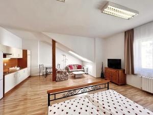 Pronájem bytu 1+kk, Praha - Vinohrady, Dykova, 44 m2