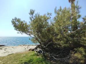 Prodej bytu 3+kk, Pula, Chorvatsko, 39 m2