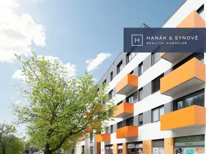 Pronájem garážového stání, Brno, Košinova, 13 m2