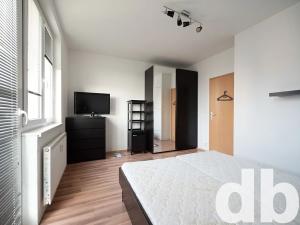 Pronájem bytu 3+kk, Karlovy Vary, Nejdlova, 80 m2