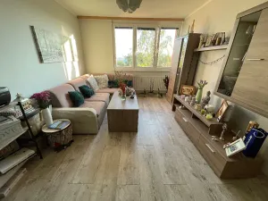 Pronájem bytu 2+1, Frýdek-Místek, Mánesova, 55 m2