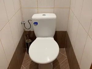 Pronájem bytu 2+1, Frýdek-Místek, Mánesova, 55 m2