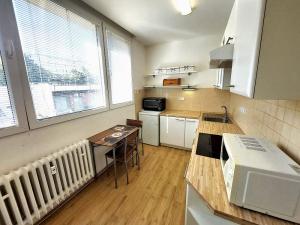 Pronájem bytu 1+1, Brno, Arbesova, 40 m2