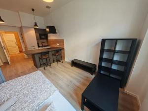 Pronájem bytu 1+kk, Praha - Žižkov, Chlumova, 38 m2
