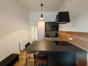 Pronájem bytu 2+kk, Praha - Žižkov, Chlumova, 31 m2