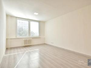 Pronájem bytu 1+kk, Ústí nad Labem, Rozcestí, 27 m2