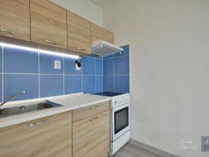 Pronájem bytu 1+kk, Ústí nad Labem, Rozcestí, 27 m2