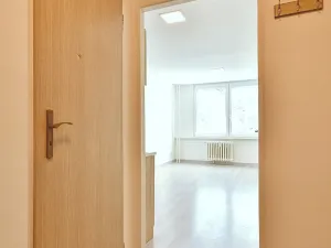 Pronájem bytu 1+kk, Ústí nad Labem, Rozcestí, 27 m2