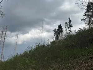 Prodej pozemku, Boršov nad Vltavou, 7673 m2