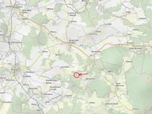 Prodej podílu lesa, Nové Mitrovice, 1057 m2