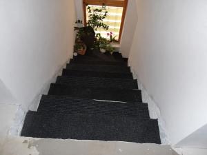 Dražba rodinného domu, Kravaře, Souběžná, 399 m2