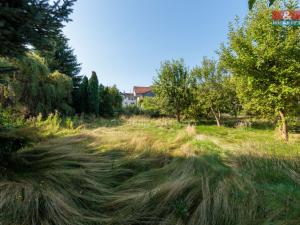 Prodej pozemku pro bydlení, Krásné Údolí, 1026 m2