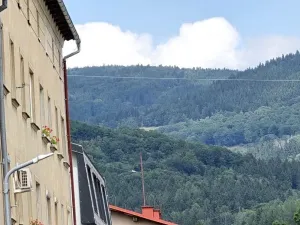 Prodej bytu 1+1, Mladé Buky, 49 m2