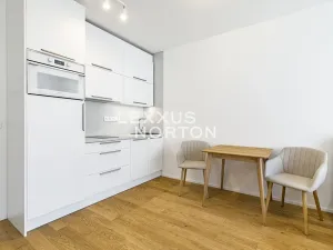 Pronájem bytu 1+kk, Praha - Holešovice, U průhonu, 32 m2