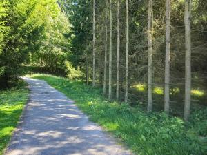 Prodej rodinného domu, Háje nad Jizerou, 236 m2