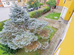 Pronájem bytu 1+kk, Praha - Řepy, Žalanského, 40 m2