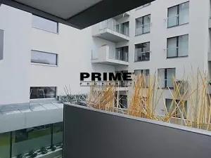 Pronájem bytu 4+kk, Praha - Žižkov, Prokopova, 91 m2