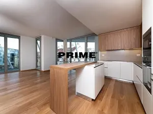 Pronájem bytu 4+kk, Praha - Smíchov, Holečkova, 174 m2