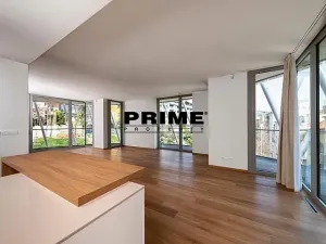 Pronájem bytu 4+kk, Praha - Smíchov, Holečkova, 174 m2