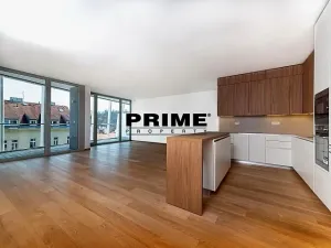 Pronájem bytu 4+kk, Praha - Smíchov, Holečkova, 174 m2