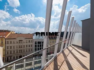 Pronájem bytu 4+kk, Praha - Smíchov, Holečkova, 174 m2