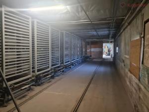 Prodej výrobních prostor, Radslavice, 3300 m2