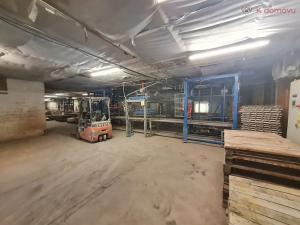 Prodej výrobních prostor, Radslavice, 3300 m2