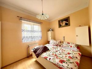 Pronájem bytu 2+1, Kynšperk nad Ohří, Dlouhá, 60 m2