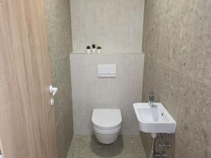 Pronájem bytu 2+kk, Brandýs nad Labem-Stará Boleslav, Dřevčická, 60 m2
