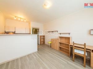 Pronájem bytu 1+kk, Praha - Braník, Nad lesním divadlem, 29 m2