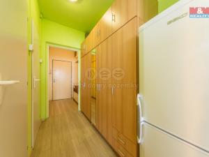 Pronájem bytu 1+kk, Praha - Braník, Nad lesním divadlem, 29 m2