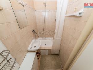 Pronájem bytu 1+kk, Praha - Braník, Nad lesním divadlem, 29 m2