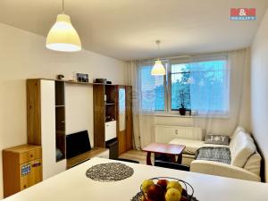 Pronájem bytu 1+kk, Praha - Krč, Štúrova, 28 m2