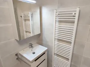 Pronájem bytu 1+kk, Praha - Žižkov, Hartigova, 37 m2
