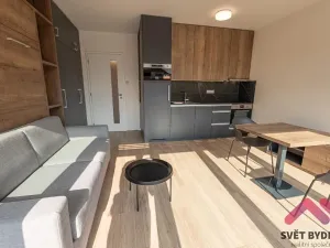 Pronájem bytu 1+kk, Praha - Holešovice, V háji, 40 m2