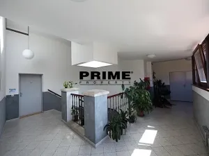 Pronájem bytu 3+1, Praha - Smíchov, Štefánikova, 129 m2